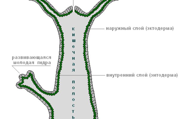 Как зайти на сайт блэкспрут