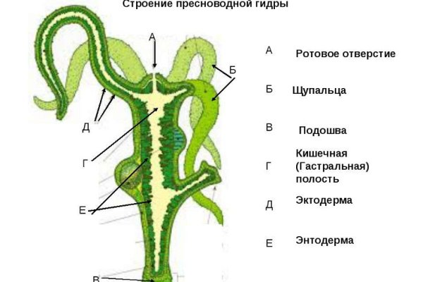 Кракен сайт официальный вход kraken6.at kraken7.at kraken8.at