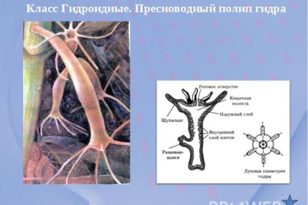 Сайт продажи нарко веществ кракен